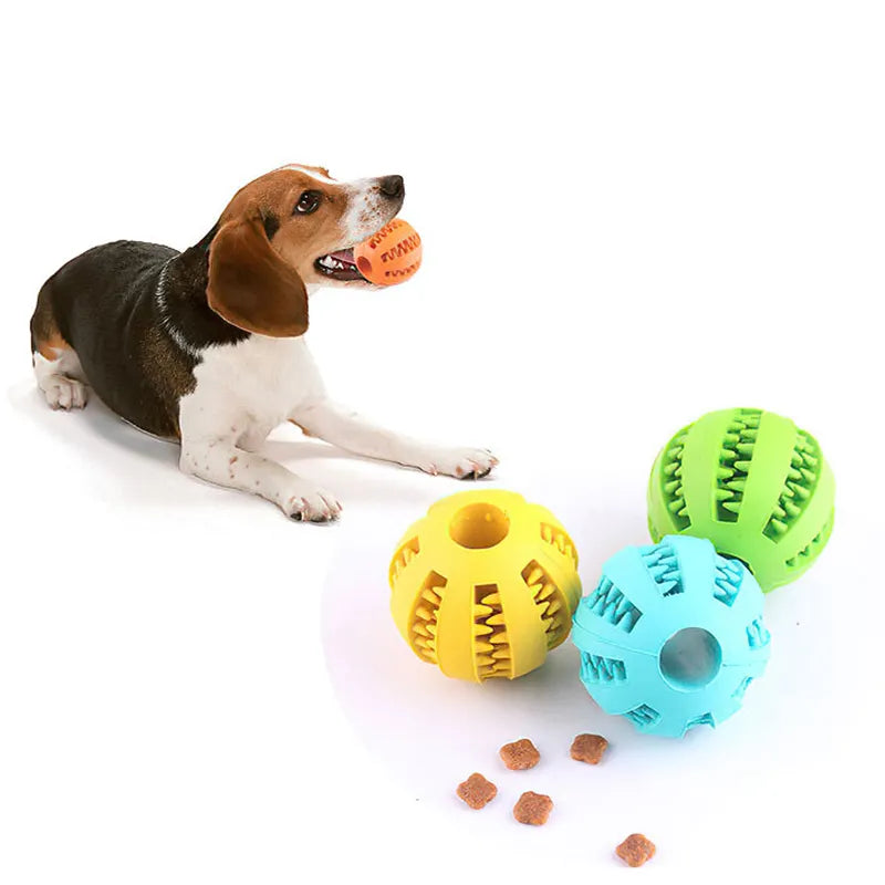 Interactive Toy Rubber Dog Chew Ball